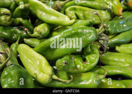 Hatch Chile Peppers at Wegmans Grocery Store, Westwood, Massachusetts, USA Stock Photo