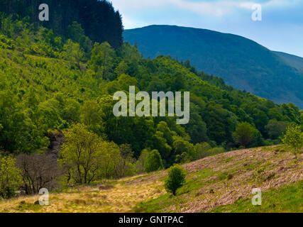 View over Gilfach Farm Nature Reserve near Rhayader Powys Wales UK an area of open moorland, flower-rich grasslands and oak wood Stock Photo