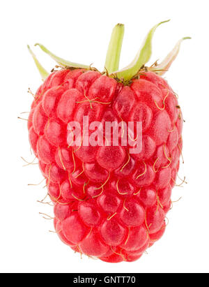 raspberry isolated on the white background. Stock Photo
