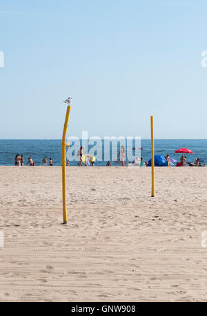 Brighton Beach, Brooklyn, with seagull sitting on volleyball net posts looking out to sea Stock Photo