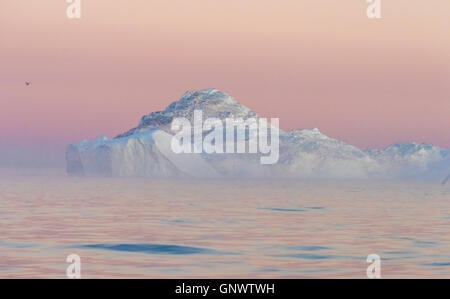 Huge stranded icebergs at the mouth of the Icejord near Ilulissat at midnight, Greenland Stock Photo