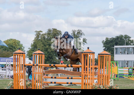 The Bucks County Show, Area Trial showjumping Ridden Hunter Championship Credit:  Scott Carruthers/Alamy Live News Stock Photo