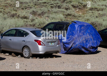 Vehicles protected with trapouline or wire to prevent marmots from damaging pipes etc. California. USA Stock Photo