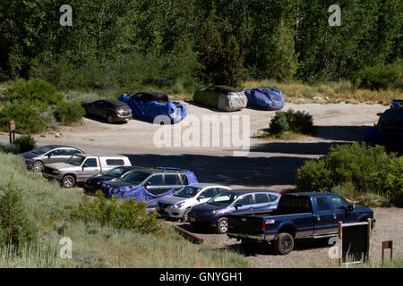 Vehicles protected with trapouline or wire to prevent marmots from damaging pipes etc. California. USA Stock Photo