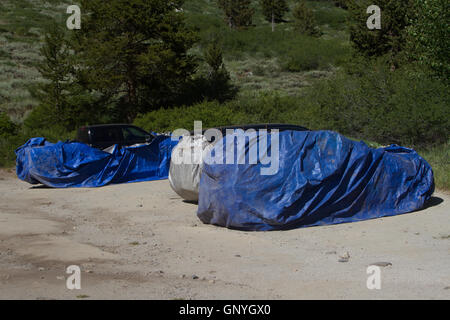 Vehicles protected with trapouline or wire to prevent marmots from damaging pipes etc. California. USA Stock Photo