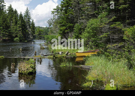 Yellow canoe rests on the bank of a beaver pond in the Green Mountains of Vermont Stock Photo