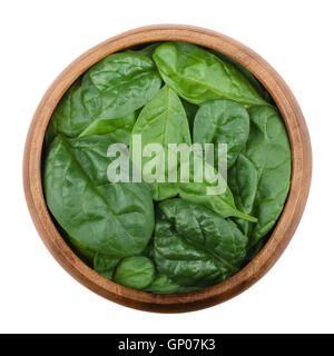 Fresh green spinach leaves in a wooden bowl on white background. Spinacia oleracea, edible flowering plant. Stock Photo