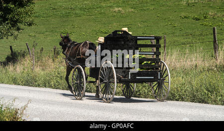 Amish horse and open buggy with watermellon on country road in Ohio Stock Photo