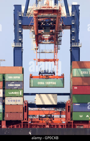 Gantry crane operator placing a container in a cargo ship the Port of Rotterdam. Stock Photo