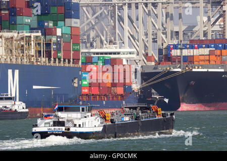 River barge passing ocean container ships in the Port of Rotterdam. Stock Photo