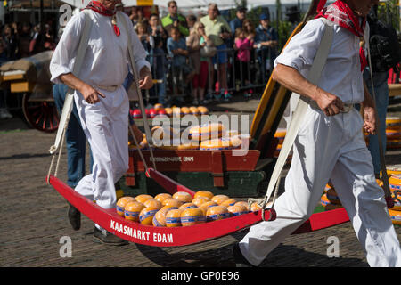 Cheese carriers run with cheese to the weighing scales at the Edam cheese market, Edam, Netherlands Stock Photo