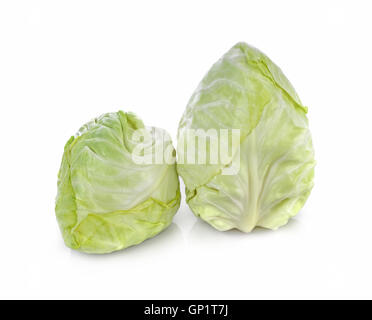Pointed Cabbage on white background Stock Photo