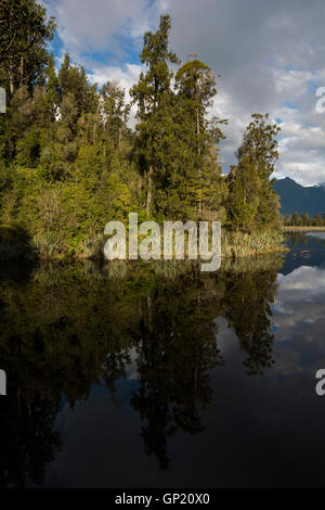 Lake Matheson near Fox Glacier in the West Coast Region of New Zealand is surrounded by a dense forest with Rimu and Kahikatea. Stock Photo