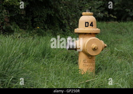 Yellow Kennedy K-81 dry barrel fire hydrant located in a grass verge on an old USAF / RAF airfield in Cotswolds, England, GB Stock Photo