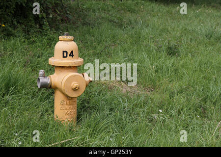 Yellow Kennedy K-81 dry barrel fire hydrant located in a grass verge on an old USAF / RAF airfield in Cotswolds, England, GB Stock Photo