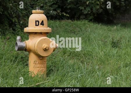 Yellow Kennedy K-81 dry barrel fire hydrant located in a grass verge on an old USAF / RAF airfield in Cotswolds, England, GB Stock Photo