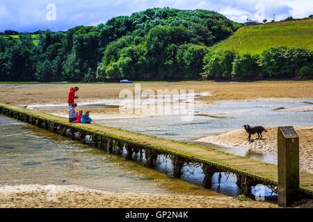 A bridge crossing a river estuary at low tide in Cornwall. Stock Photo