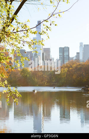 Row boats in New York City Central Park pond in the autumn Stock Photo