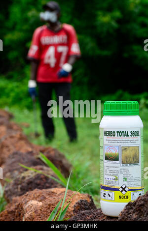 burkina-faso-bobo-dioulasso-use-of-herbicide-glyphosat-herbo-total