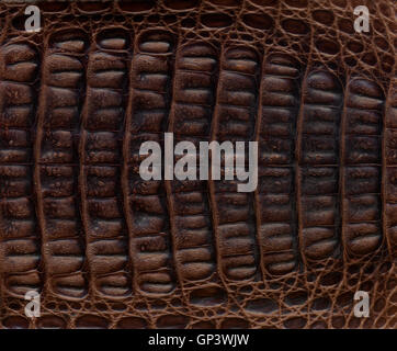 Brown crocodile leather textured background Stock Photo