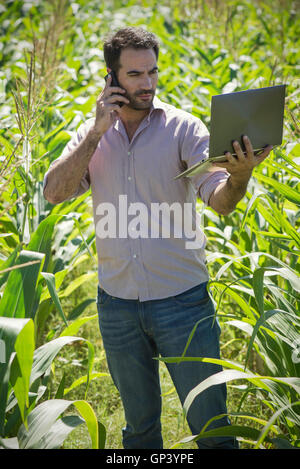 Man using laptop computer while standing in cornfield Stock Photo