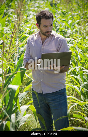 Scientist using laptop computer in field Stock Photo