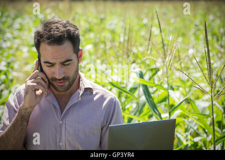 Farmer talking on cell phone in cornfield Stock Photo