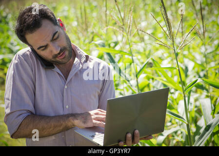 Scientist using laptop computer while talking on cell phone in cornfield Stock Photo