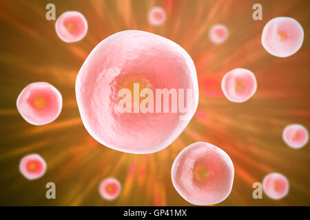 Human cell, animal , science background. 3d illustration. Stock Photo