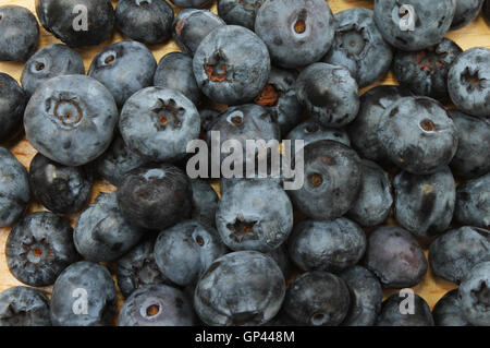 Closeup of fresh blueberries Stock Photo
