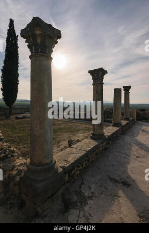Pillars of the roman ruins, Volubilis, Morocco Stock Photo