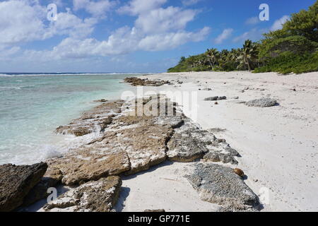 Wild tropical shore on the open sea side of the atoll of Rangiroa, Tuamotu archipelago, French Polynesia, south Pacific ocean Stock Photo