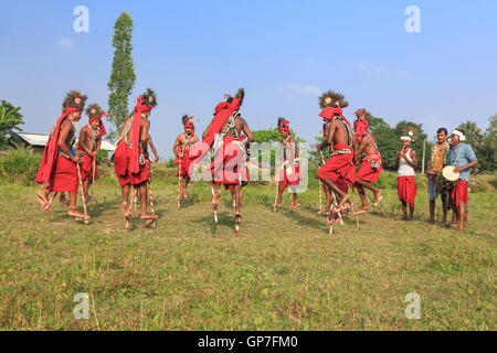 Gendi dance, bastar, chhattisgarh, india, asia Stock Photo