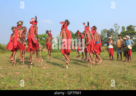 Gendi dance, bastar, chhattisgarh, india, asia Stock Photo