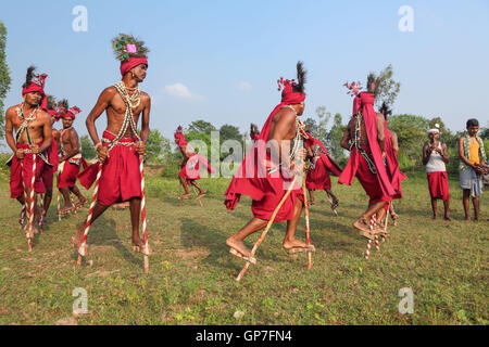 Gendi dance, bastar, chhattisgarh, india, asia Stock Photo