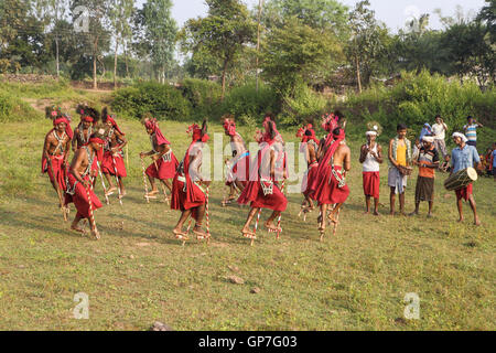 Gendi dance, bastar, chhattisgarh, india, asia Stock Photo