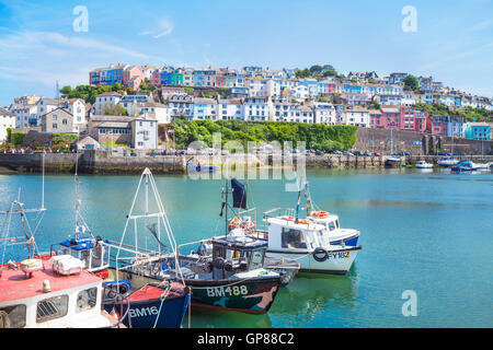 Brixham Harbour, Brixham Devon Fishing boats in Brixham Harbour Brixham Devon England UK GB Europe Stock Photo