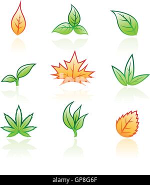illustration of glossy leaves isolated on a white background Stock Vector