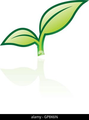 Glossy green leaf isolated on white Stock Vector