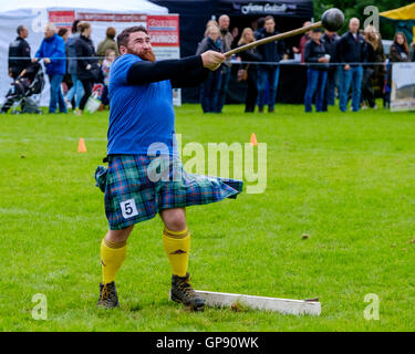 Peebles, Scotland UK  3rd September 2016. Peebles Highland Games, the biggest 'highland' games in the Scottish  Borders took place in Peebles on September 3rd 2016 featuring pipe band contests, highland dancing competitions, haggis hurling, hammer throwing, stone throwing and other traditional events.  Pictured:  a competitor throws the hammer Credit:  Andrew Wilson/Alamy Live News Stock Photo