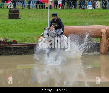 Burghley House, Burghley, UK. 03rd Sep, 2016. Land Rover Burghley Horse Trials. Cross Country. XAM ridden by Harry Dzenis is safely over at the Trout Hatchery Credit:  Action Plus Sports/Alamy Live News Stock Photo