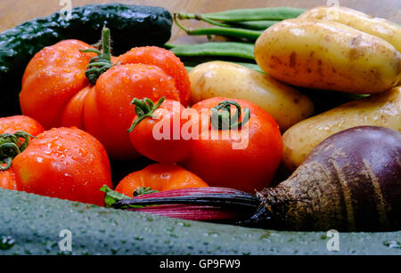 Freshly picked, organically grown vegetables from a garden. The vegetables will be used to prepare soup. Stock Photo