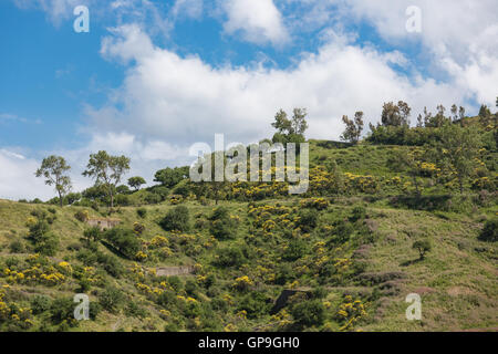 Sicilian inland with mountains, blooming yellow bushes and trees Stock Photo