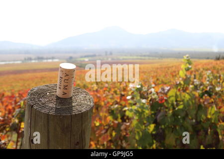 Cork on a pole at a vineyard at Koyle Family Vineyards, Los Lingues, Alto Colchagua,Chile Stock Photo