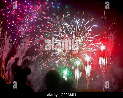 Orlando, Florida. March 4th, 2015. The finale of the Wishes fireworks at Magic Kingdom, Walt Disney World. Stock Photo