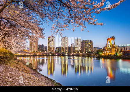cherry blossom in Lotte World amusement park at night ,Seoul korea. Stock Photo