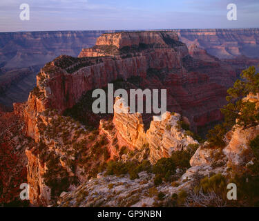 USA, Arizona, Grand Canyon National Park, North Rim, Sunrise light on Wotans Throne and surrounding canyon, from Cape Royal. Stock Photo