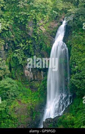 The image of Thoseghar waterfall in Satara, Maharashtra, western ghats, monsoon, India Stock Photo