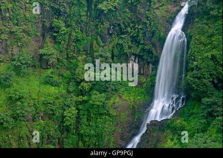 The image of Thoseghar waterfall in Satara, Maharashtra, western ghats, monsoon, India Stock Photo