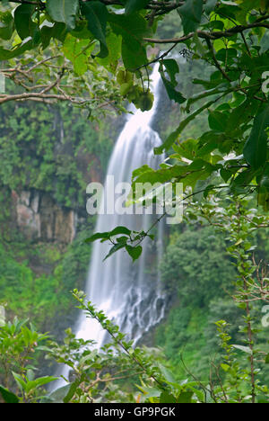 The image of Thoseghar waterfall in Satara, Maharashtra, western ghats, monsoon, India Stock Photo